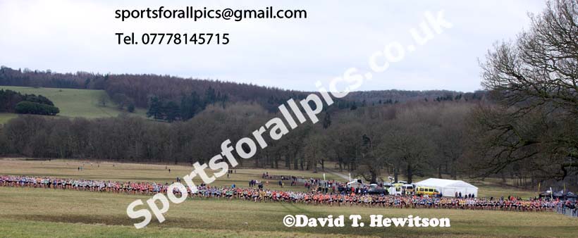 Senior men, 2018 Northern Cross Country Champs., Harewood House, Leeds. Photo: David T. Hewitson/Sports for All Pics